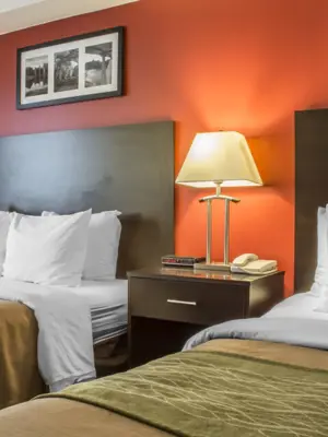 Hotel Room at Comfort Hotel & Suites in Peteborough, image shows a hotel room with two queen beds, with nightstand between.